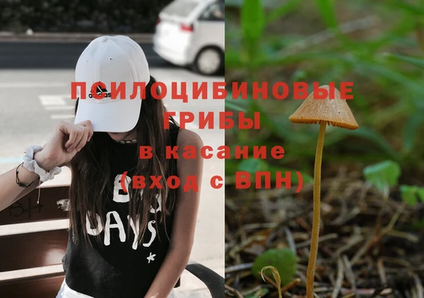марки nbome Нязепетровск