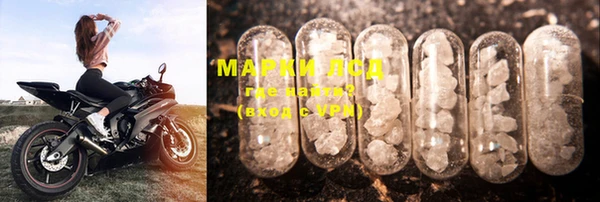 mdpv Новозыбков