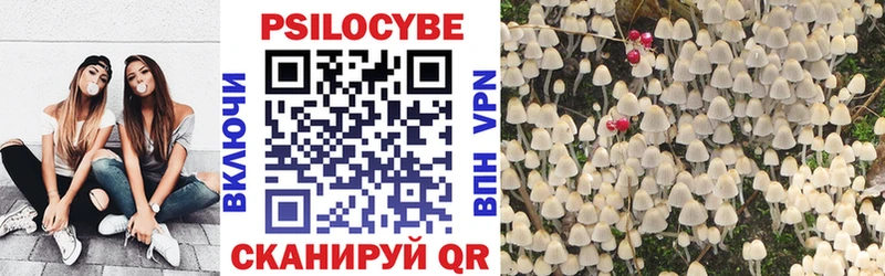 Галлюциногенные грибы Magic Shrooms  купить   Чита 