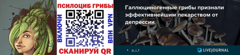 Галлюциногенные грибы Magic Shrooms Чита