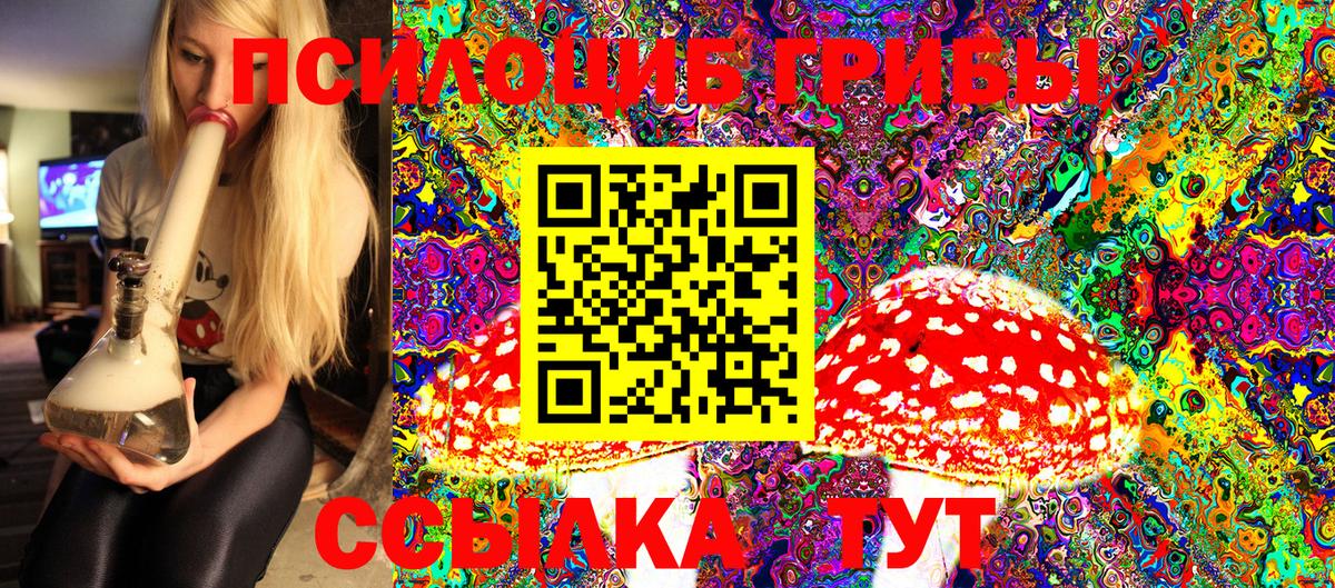 Галлюциногенные грибы мицелий Чита