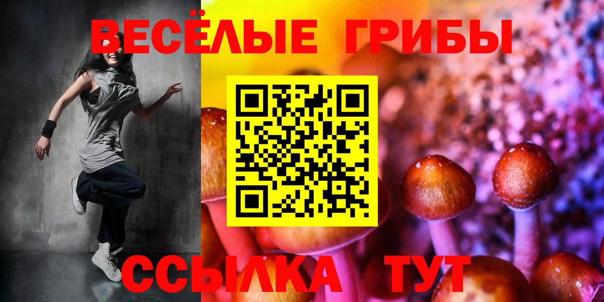 Псилоцибиновые грибы ЛСД Чита