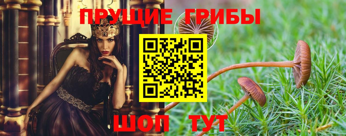 Чита  Галлюциногенные грибы Cubensis  хочу наркоту  Галлюциногенные грибы MAGIC MUSHROOMS  Вход с VPN 